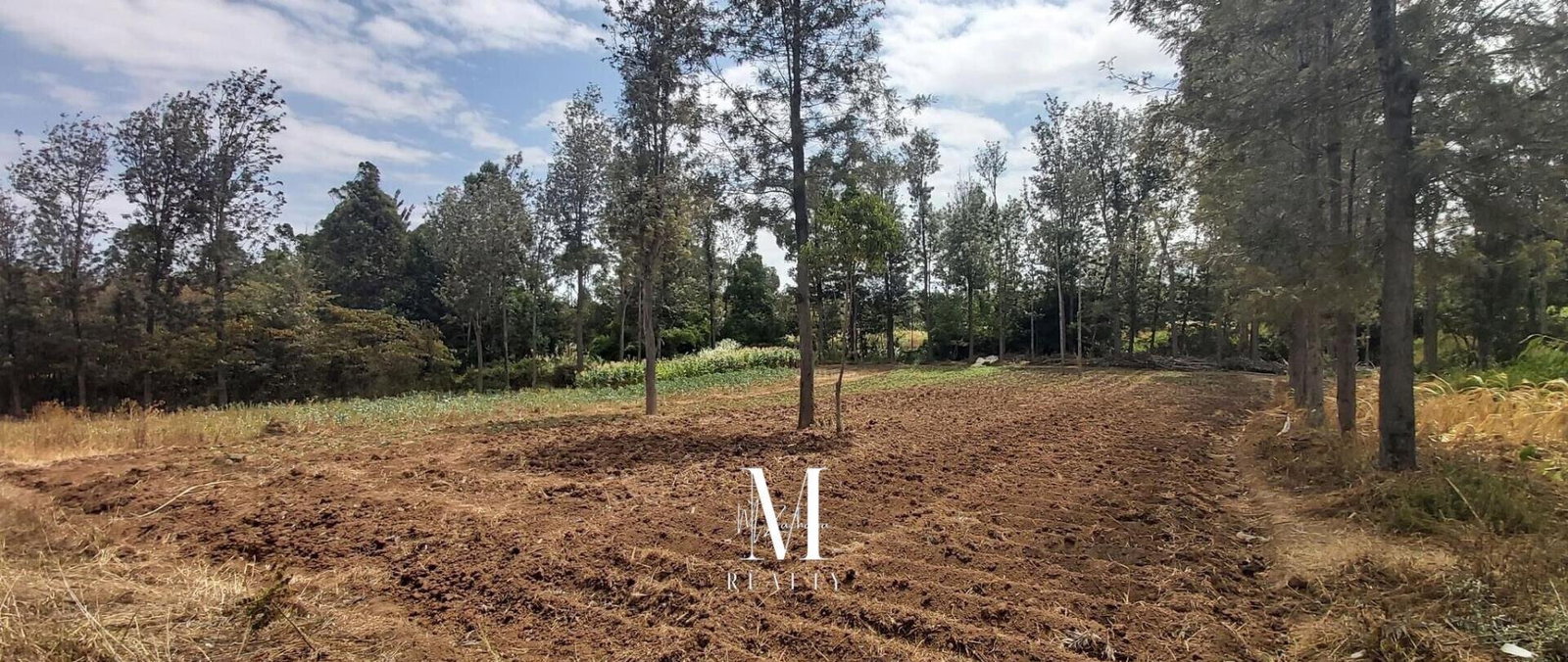 3.5-Acre Plot with Mt Kenya Views - KSh 17M