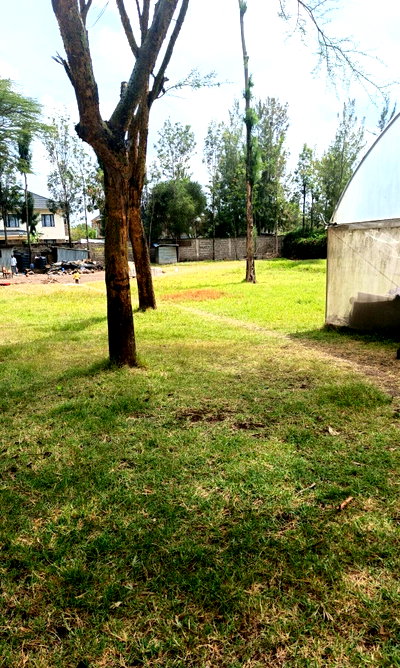 KSh 15M Half Acre Plot in Maasai Lodge