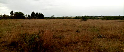 3-Acre Commercial Plot at KSh 1.6M