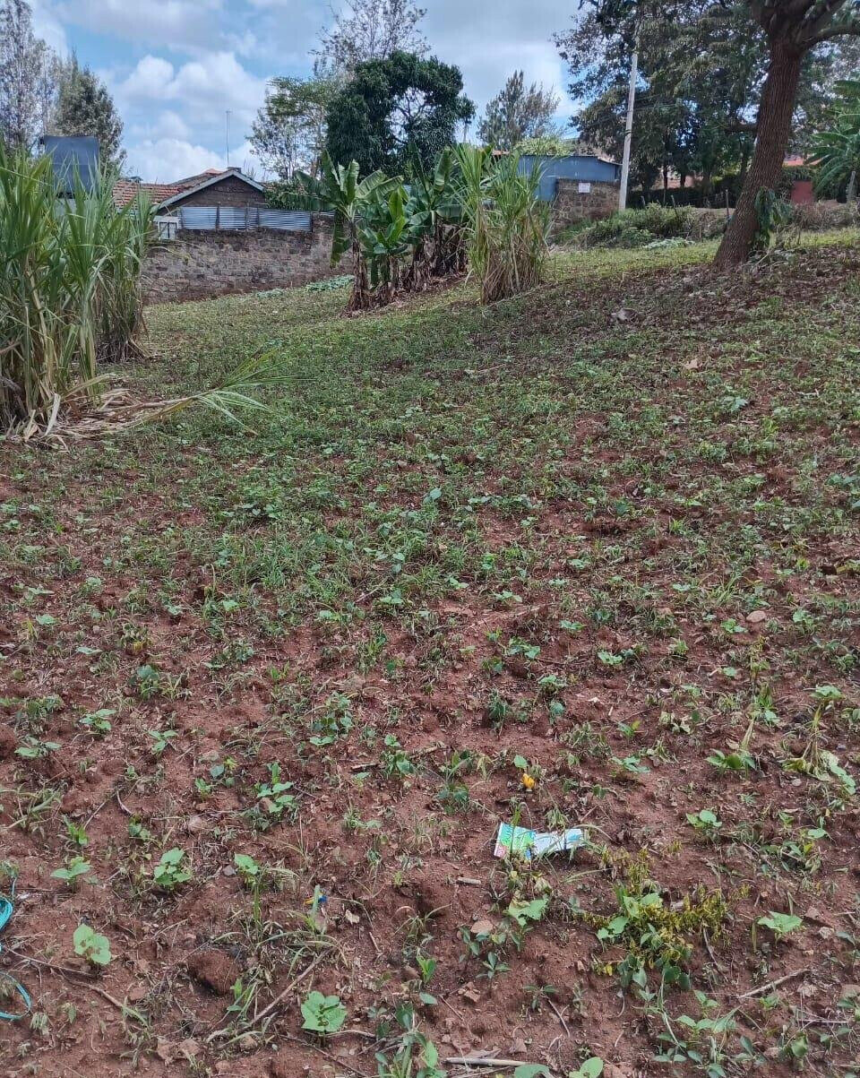 KSh 35M Quarter Acre Plot