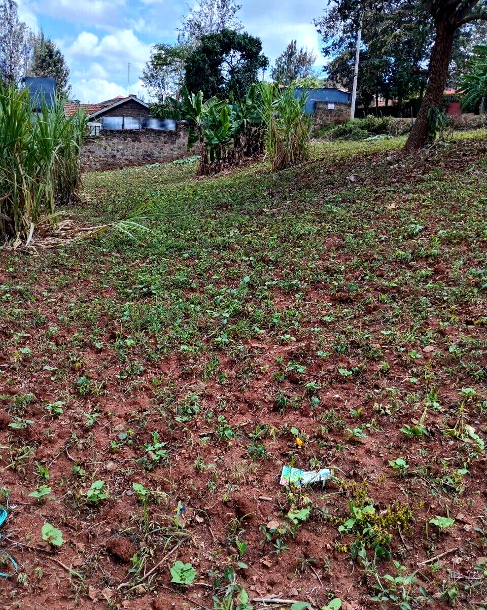 KSh 35M Quarter Acre Plot