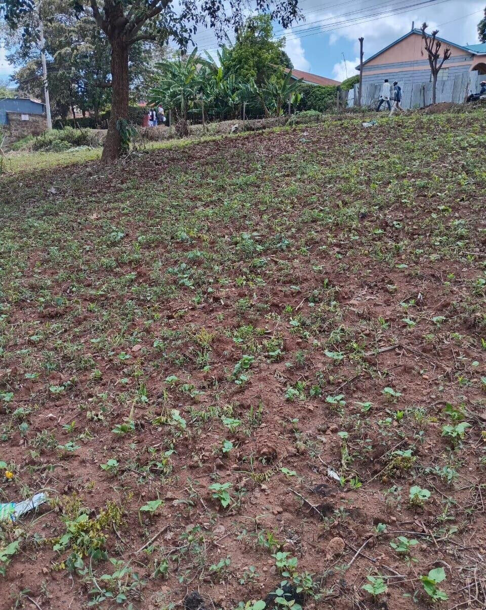 KSh 35M Quarter Acre Plot