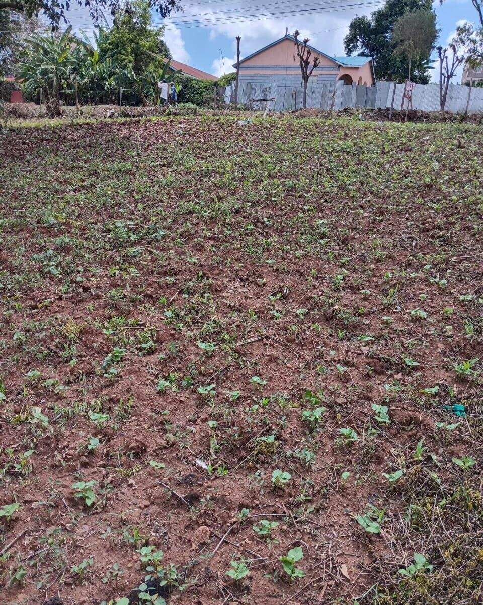 KSh 35M Quarter Acre Plot