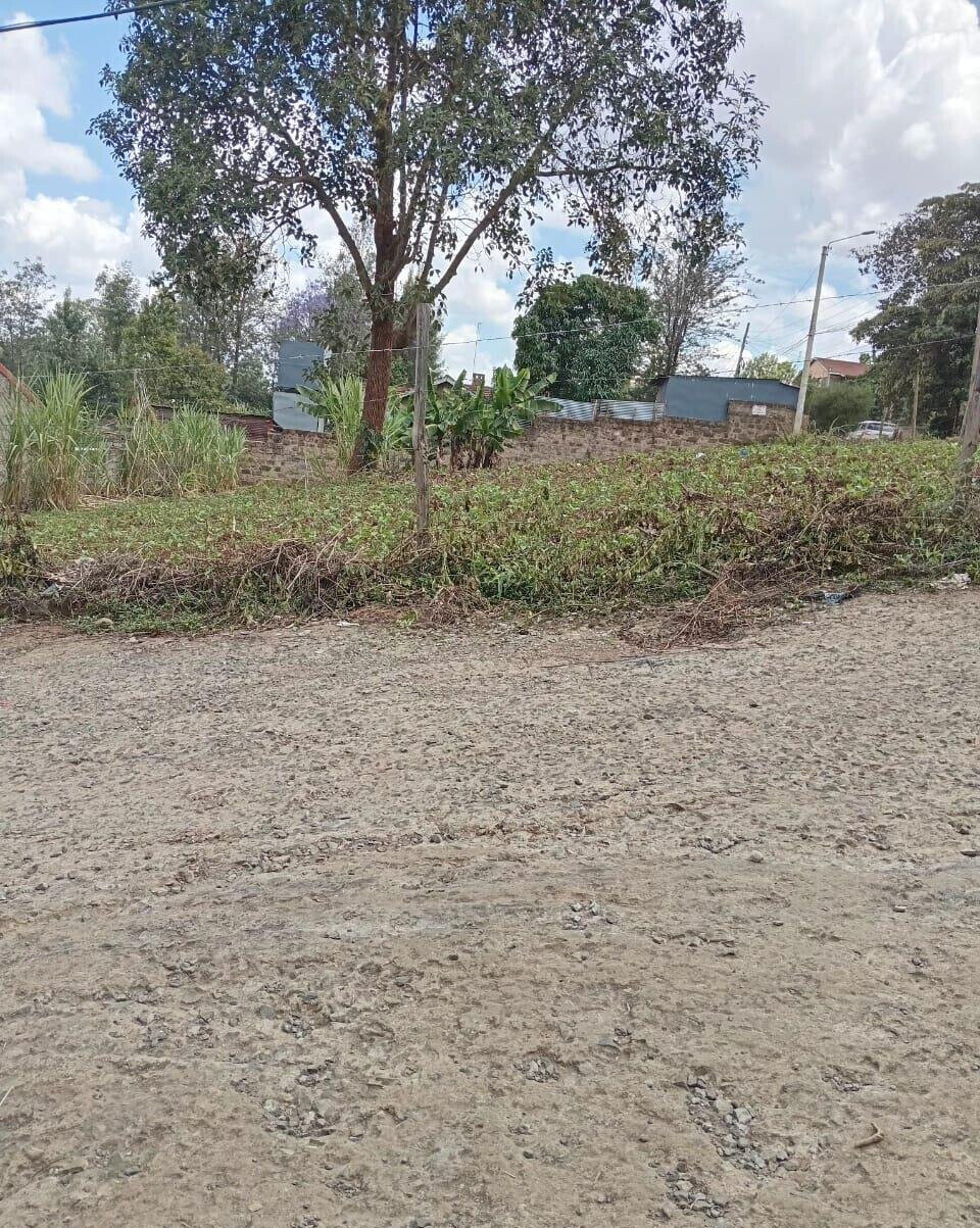 KSh 35M Quarter Acre Plot