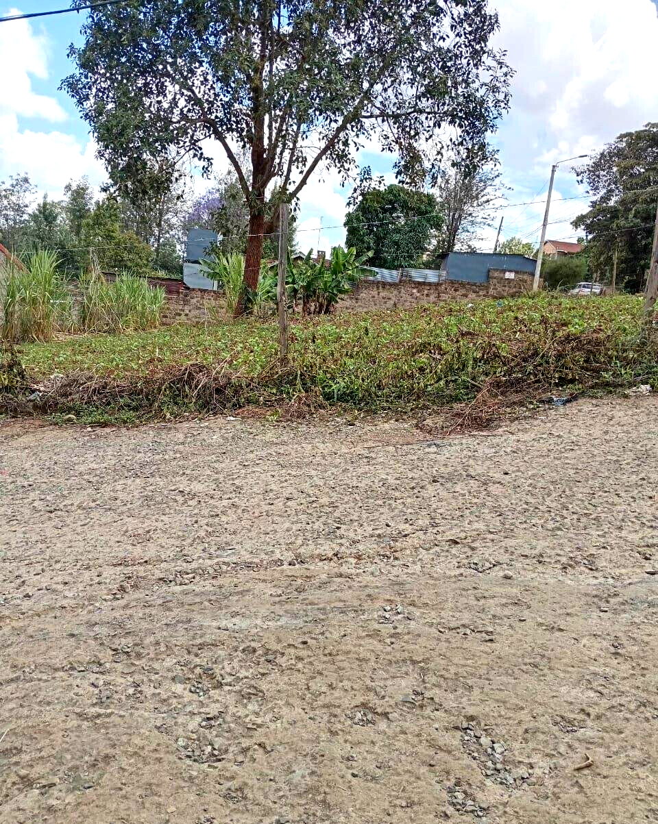 KSh 35M Quarter Acre Plot