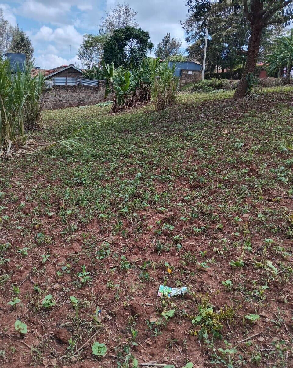 KSh 35M Quarter Acre Plot