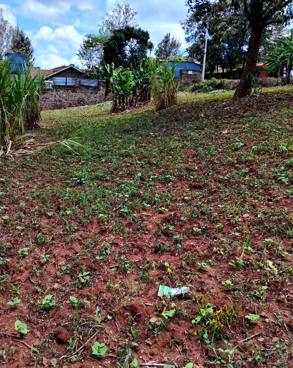 KSh 35M Quarter Acre Plot