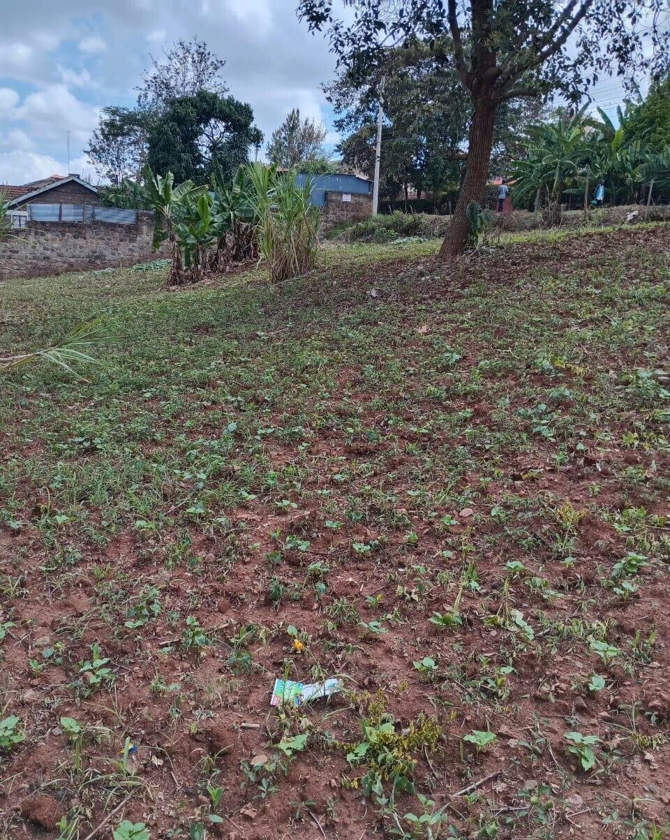 KSh 35M Quarter Acre Plot