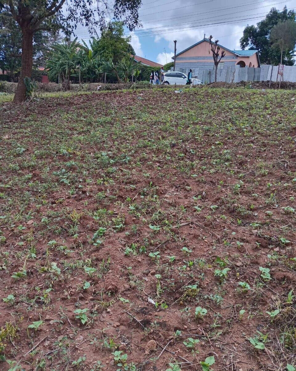 KSh 35M Quarter Acre Plot