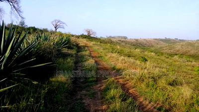 One Acre Land on Sale - Image 4