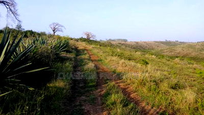 One Acre Land on Sale - Image 5