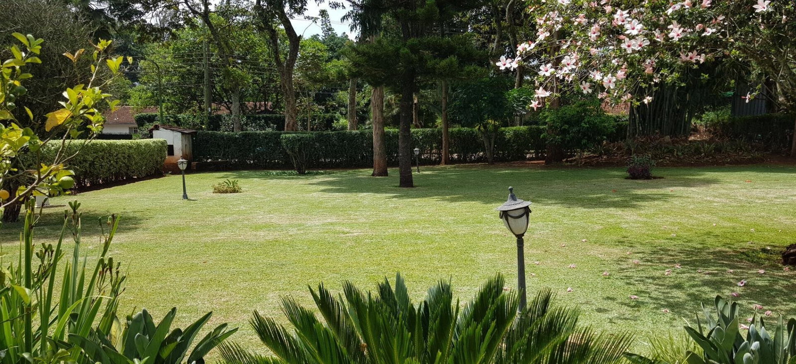 Serene 4BR Cottage - Loresho