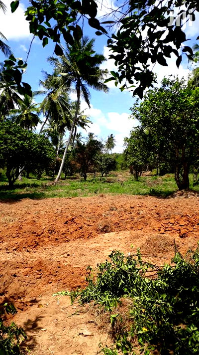 For Sale 8 Acres Land Kikambala - Image 6