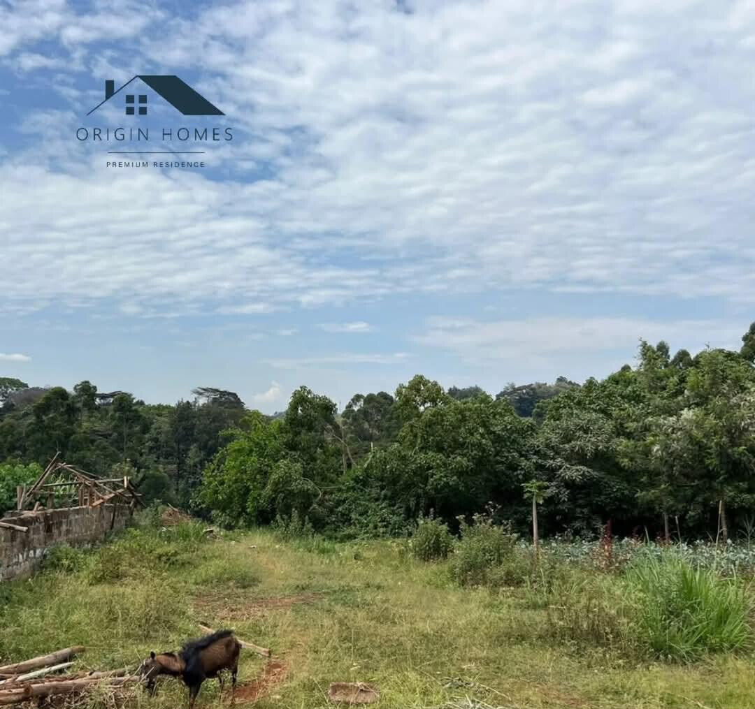 Half Acre Plot with Parking at KSh 40M