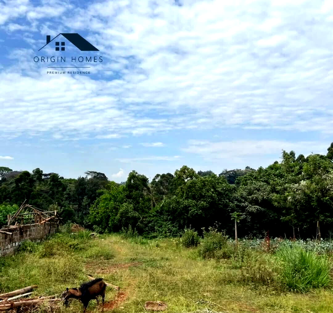 Half Acre Plot with Parking at KSh 40M