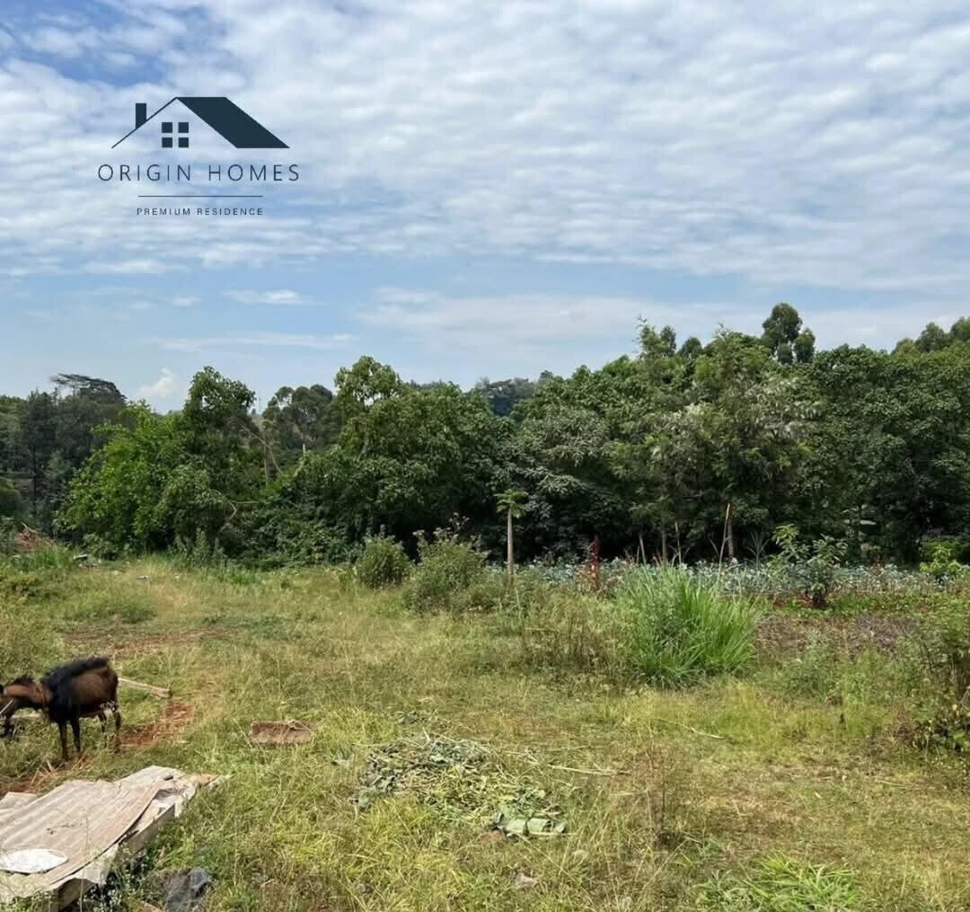 Half Acre Plot with Parking at KSh 40M