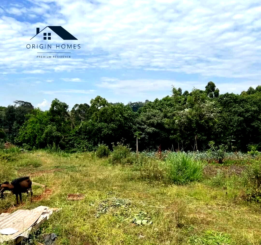 Half Acre Plot with Parking at KSh 40M