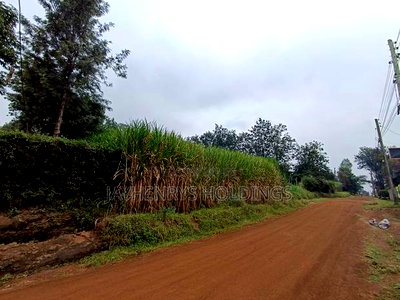 Commercial 1/4 Acre Plot for Sale in Kiamumbi Estate - Image 3