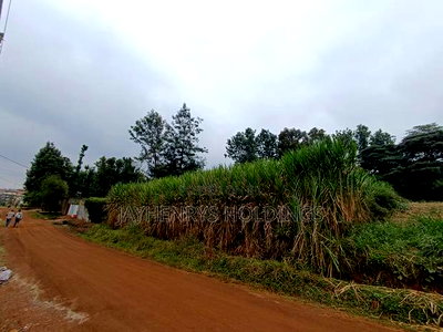 Commercial 1/4 Acre Plot for Sale in Kiamumbi Estate - Image 4