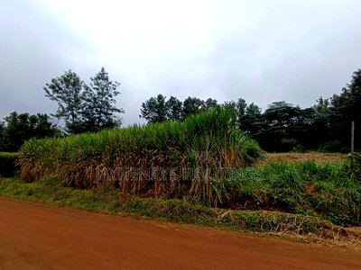 Commercial 1/4 Acre Plot for Sale in Kiamumbi Estate - Image 5
