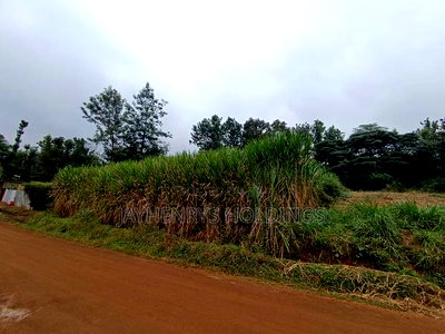Commercial 1/4 Acre Plot for Sale in Kiamumbi Estate - Image 1