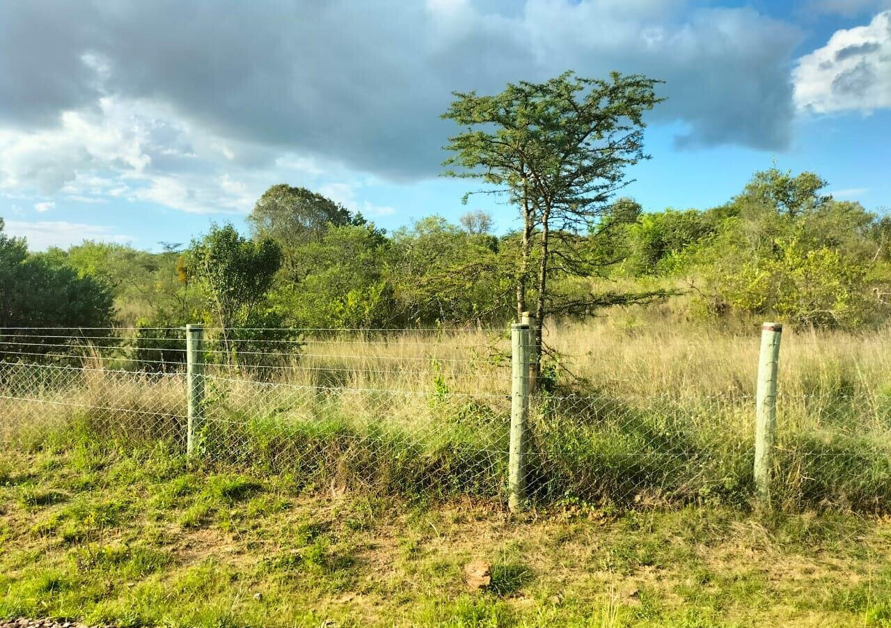 11-Acre Plot in Laikipia Central
