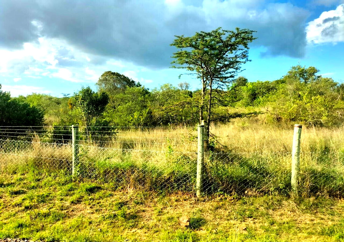 11-Acre Plot in Laikipia Central