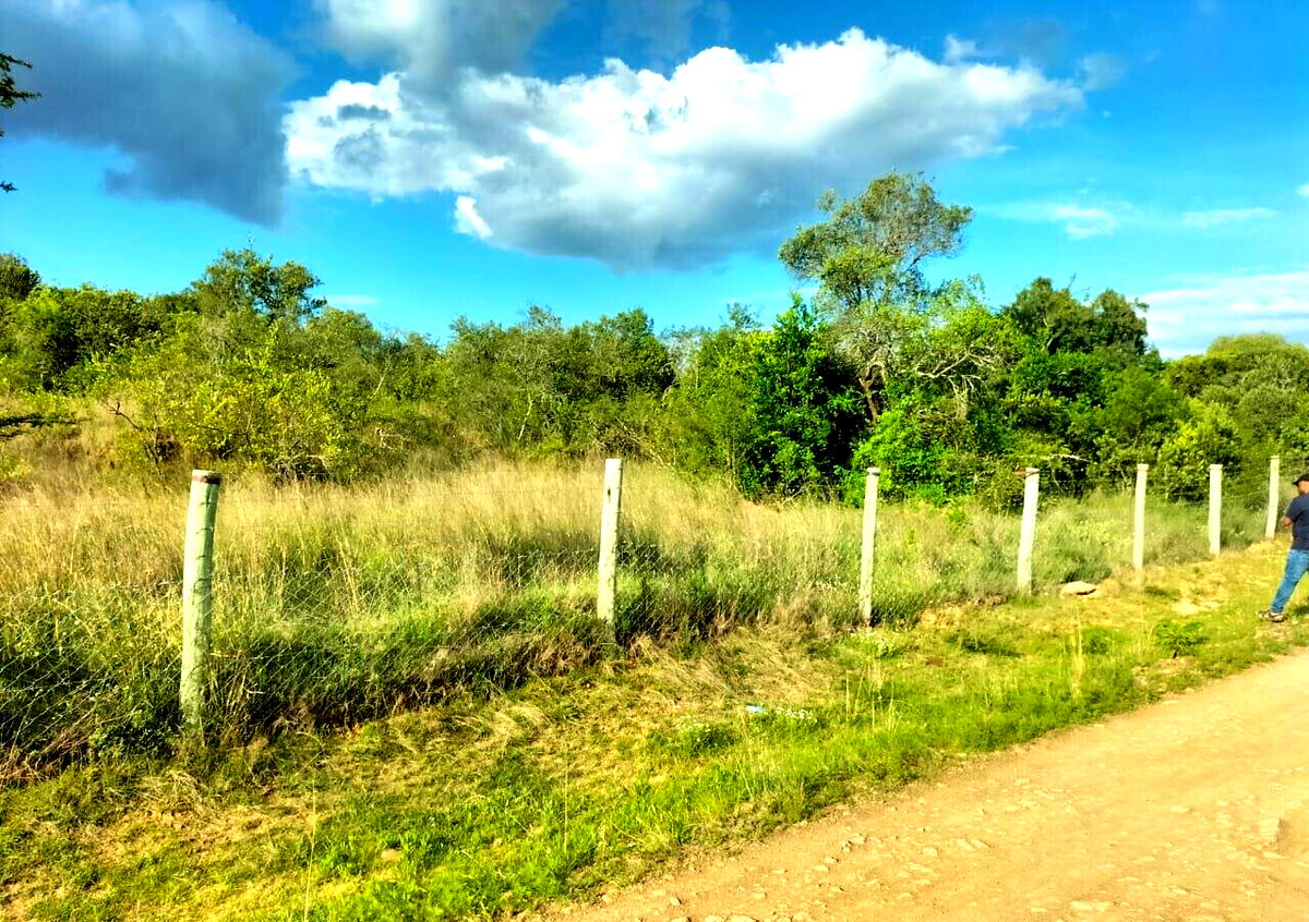 11-Acre Plot in Laikipia Central