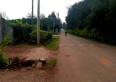 Quarter Acre Plot with Garden