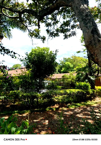 Commercial for Rent - Image 1