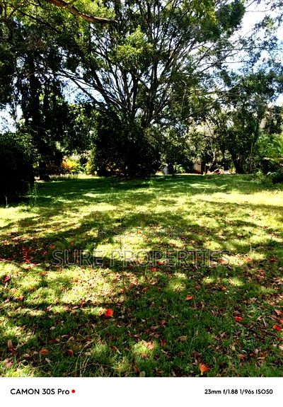 Commercial for Rent - Image 2