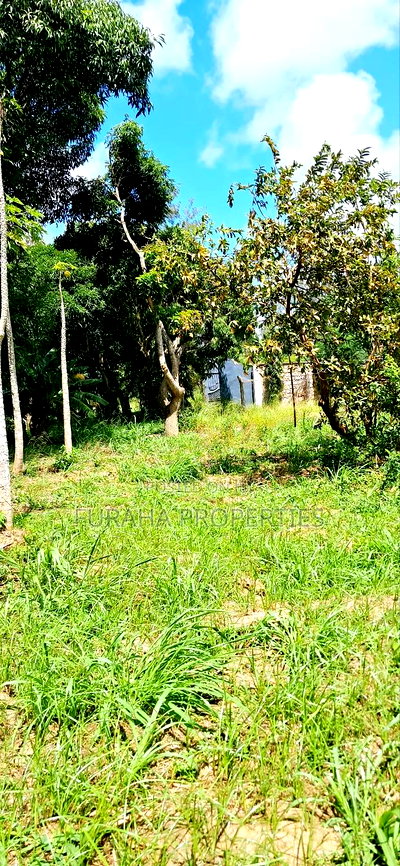 For Sale Quater Acre Plot Mtwapa. - Image 5