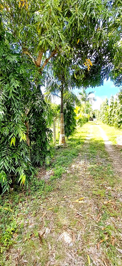 For Sale Quater Acre Plot Mtwapa. - Image 2