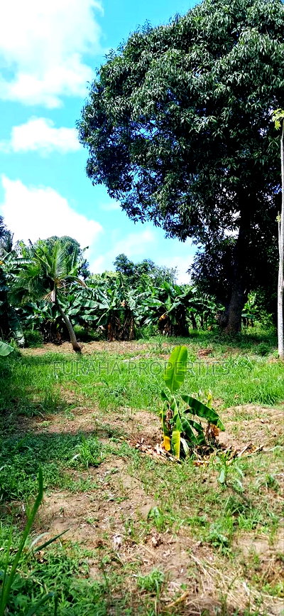 For Sale Quater Acre Plot Mtwapa. - Image 6