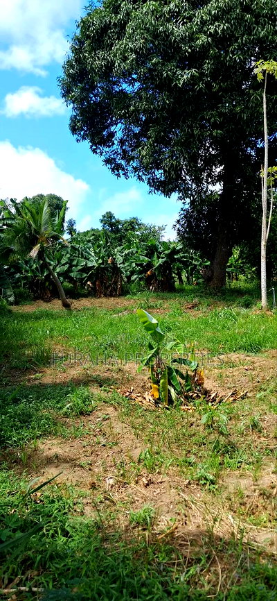 For Sale Quater Acre Plot Mtwapa. - Image 7