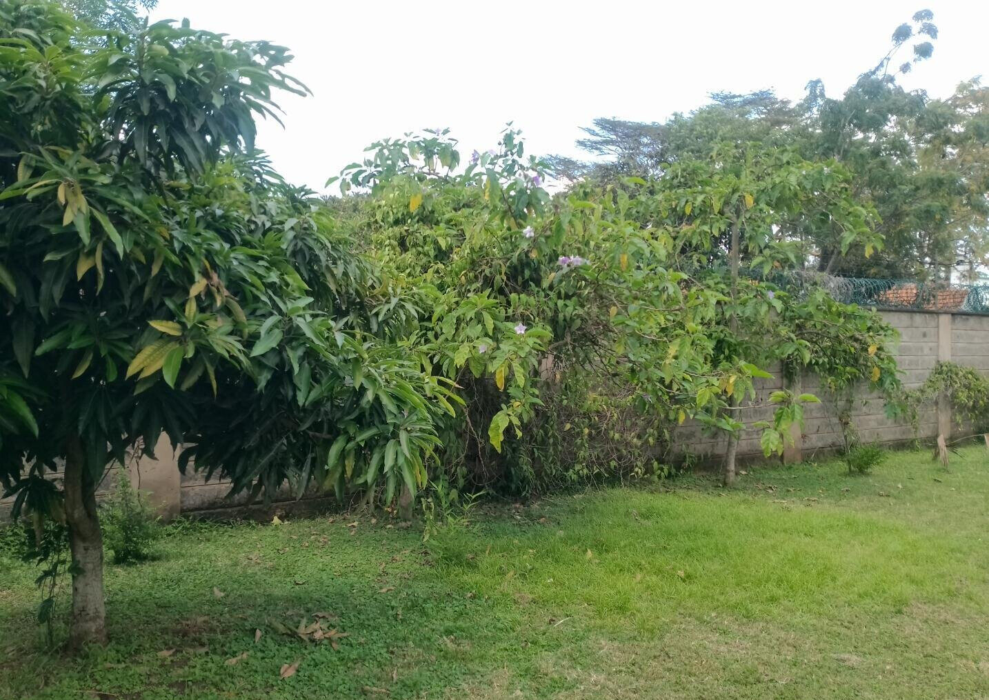 0.2 Acre Townhouse in Lavington