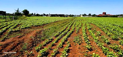 Commercial Plots for Sale in Eldoret Marura Behind Delta - Image 5