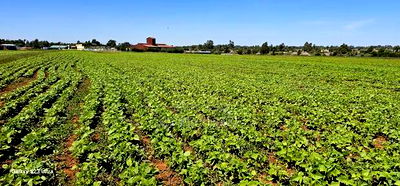 Commercial Plots for Sale in Eldoret Marura Behind Delta - Image 1