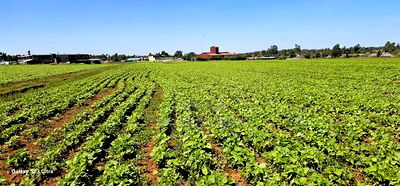 Commercial Plots for Sale in Eldoret Marura Behind Delta - Image 7