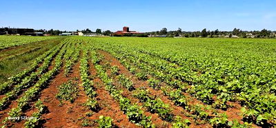 Commercial Plots for Sale in Eldoret Marura Behind Delta - Image 2