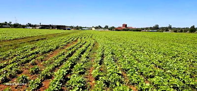 Commercial Plots for Sale in Eldoret Marura Behind Delta - Image 6