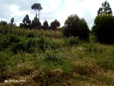50 by 100 Ft Residential Plots for Sale in Kikuyu,Rose Gate - Image 2