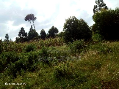 50 by 100 Ft Residential Plots for Sale in Kikuyu,Rose Gate - Image 4