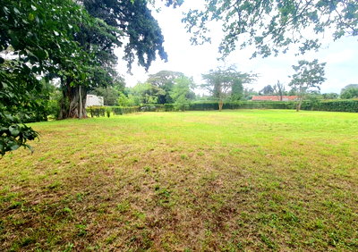 1 Acre Garden Plot in Karen