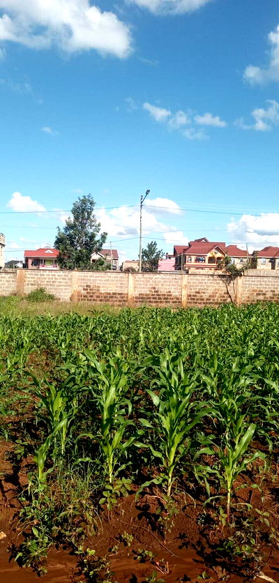 50x100 Garden Plot at KSh 4.5M