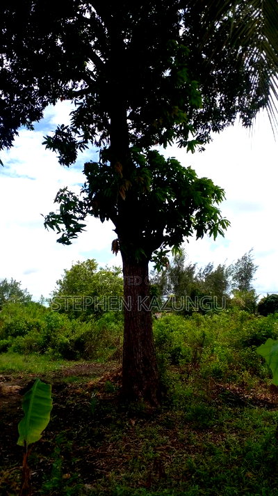 1/2 Acre Plot on Sale at Kinondo 200 Metres From Tarmac. - Image 3