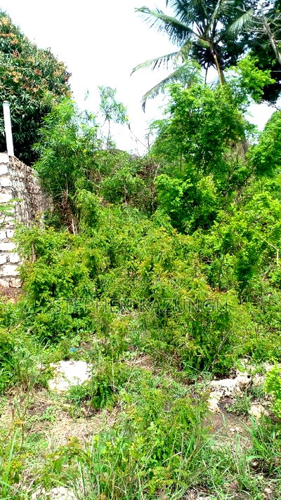 1/2 Acre Plot on Sale at Kinondo 200 Metres From Tarmac. - Image 4