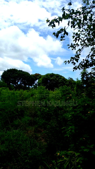 1/2 Acre Plot on Sale at Kinondo 200 Metres From Tarmac. - Image 7