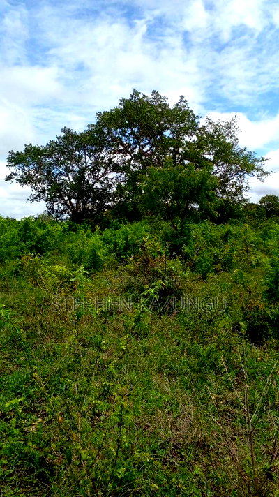1/2 Acre Plot on Sale at Kinondo 200 Metres From Tarmac. - Image 9