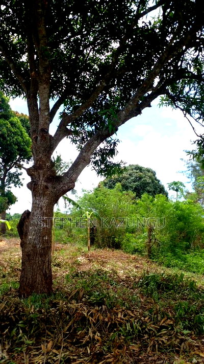 1/2 Acre Plot on Sale at Kinondo 200 Metres From Tarmac. - Image 8